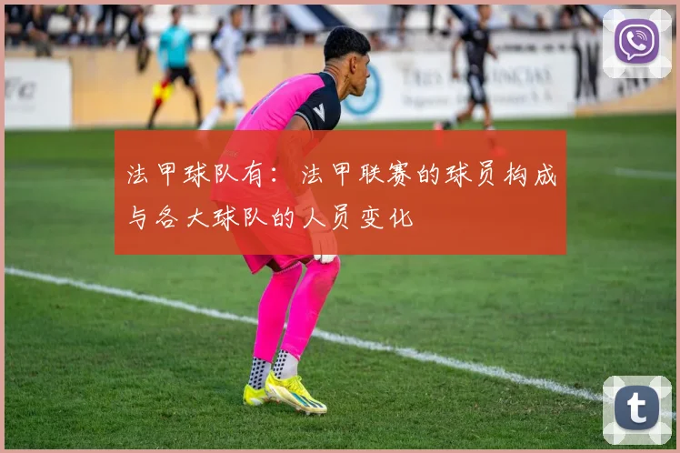 法甲球队有：法甲联赛的球员构成与各大球队的人员变化