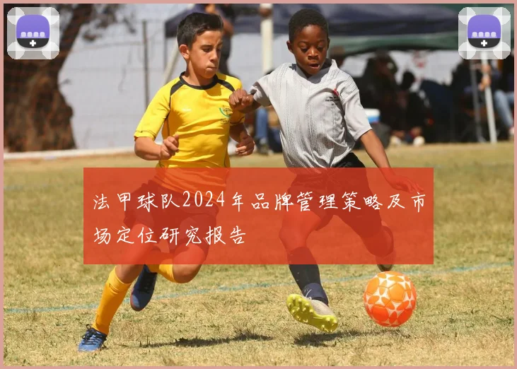 法甲球队2024年品牌管理策略及市场定位研究报告