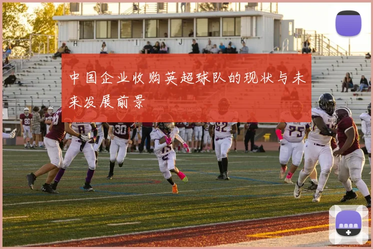 中国企业收购英超球队的现状与未来发展前景