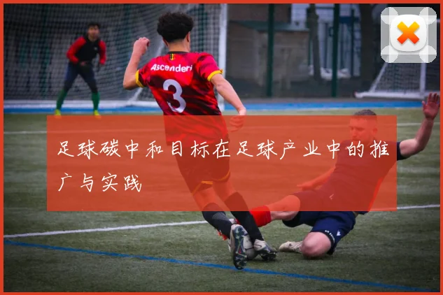 足球碳中和目标在足球产业中的推广与实践